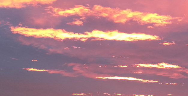 Week Podcast Aflevering 2