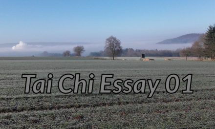 Tai Chi Video Essay 01
