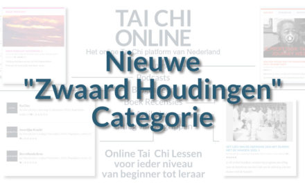 Nieuwe “Zwaard Houdingen” Categorie